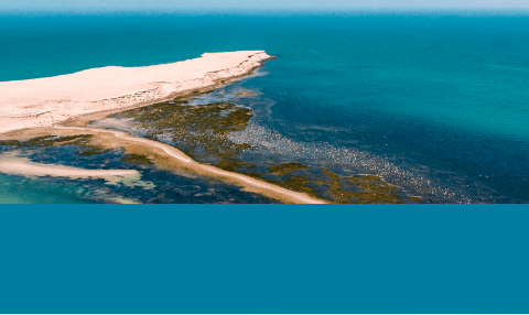 mob-4 - dune flamand 1 PNBApng copy