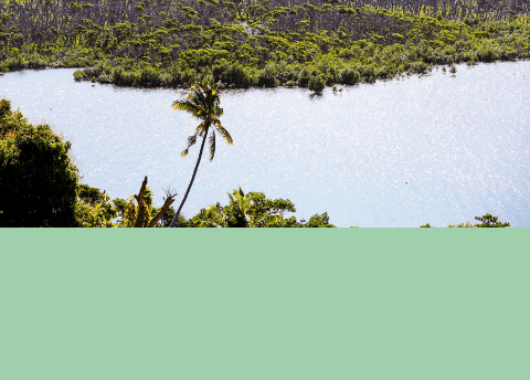 mob-6 - AFD-FIDJI045png copy