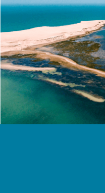 tab-4 - dune +flamand 1 PNBA.png