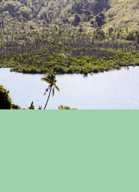 tab-6 - AFD-FIDJI045.png